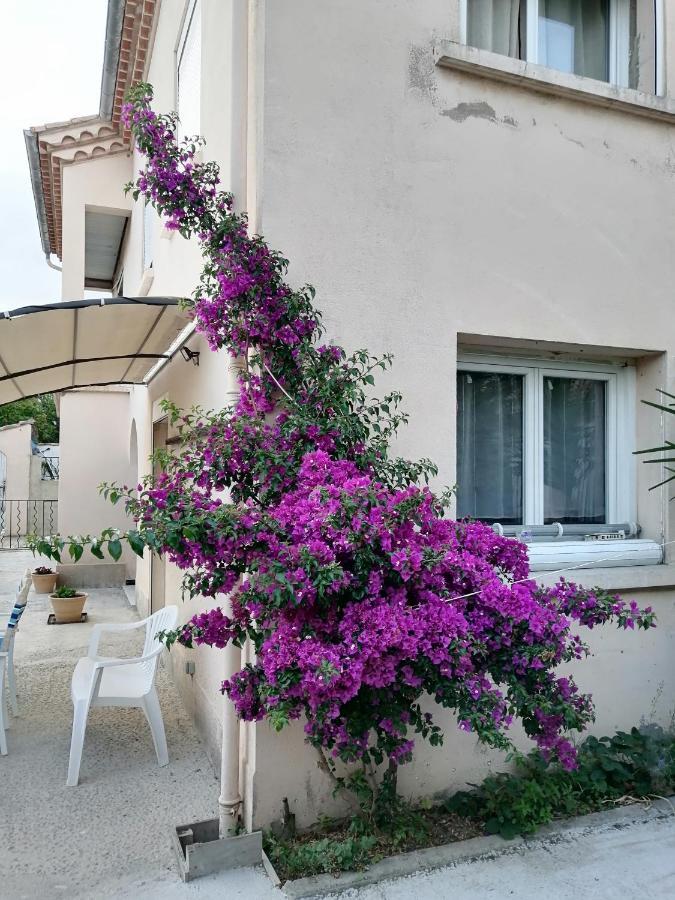 La Maison De 6Fran Appartement 2 Chaleureux Et Calme Ambiance Familiale Valros Exteriör bild
